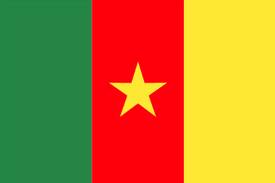 Cameroun Flag